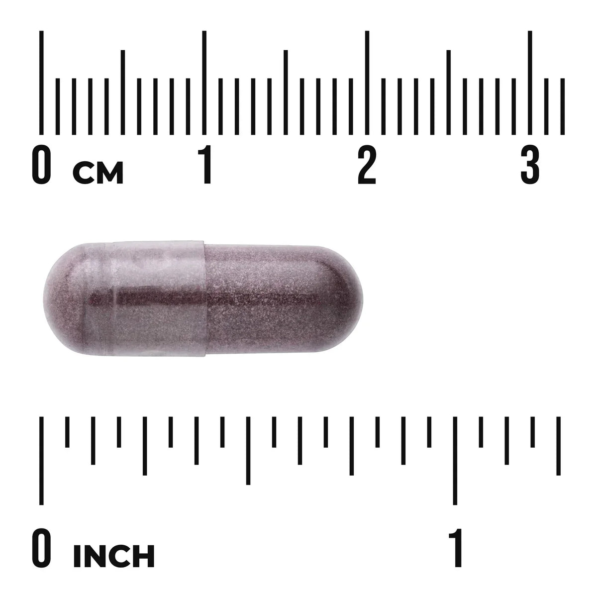 Bilberry Extract - Standardized