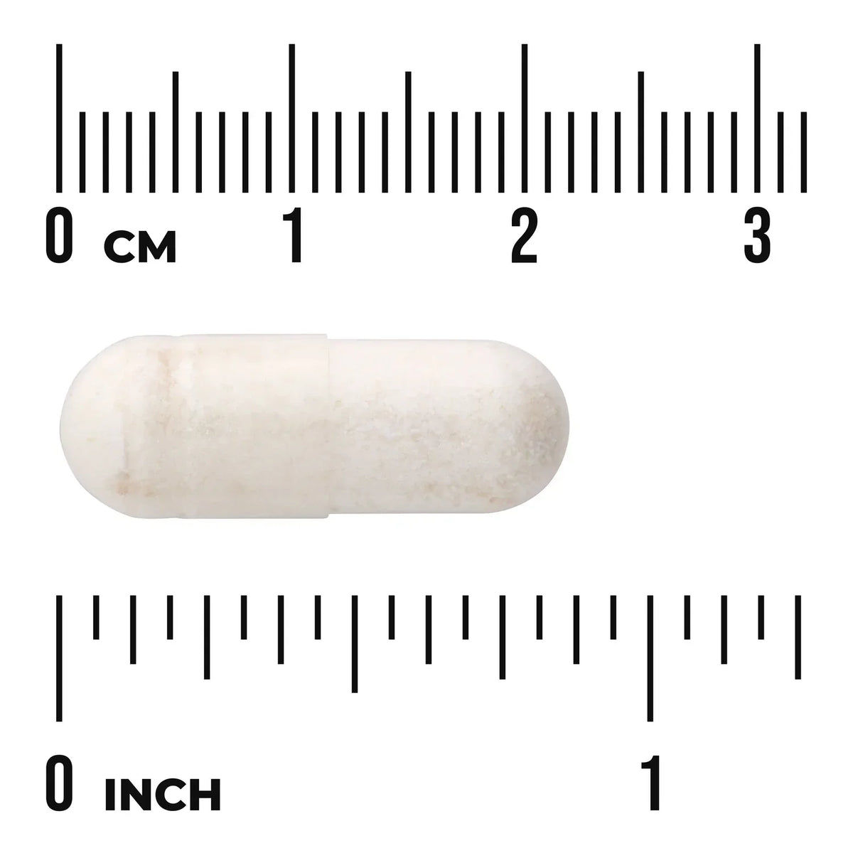 Probiotic with Digestive Enzymes
