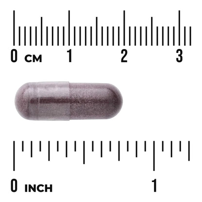 Bilberry Extract - Standardized