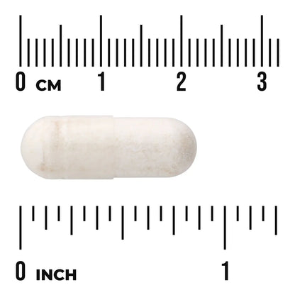 Probiotic with Digestive Enzymes