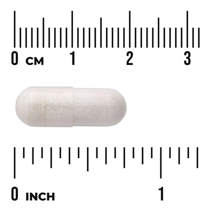Bacillus Coagulans - Spore Form