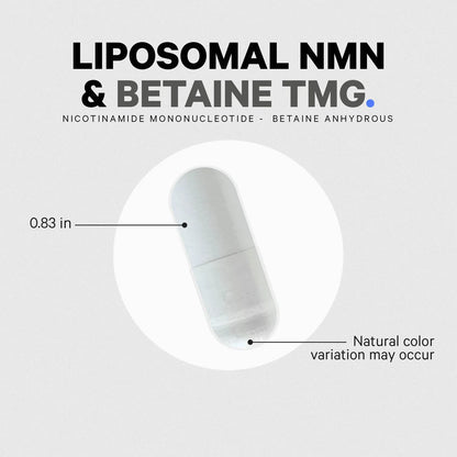 Liposomal NMN