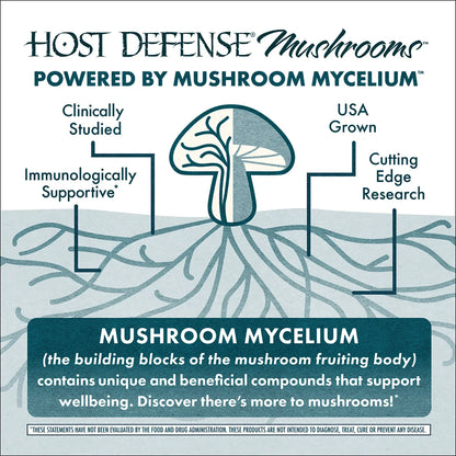 Cordyceps