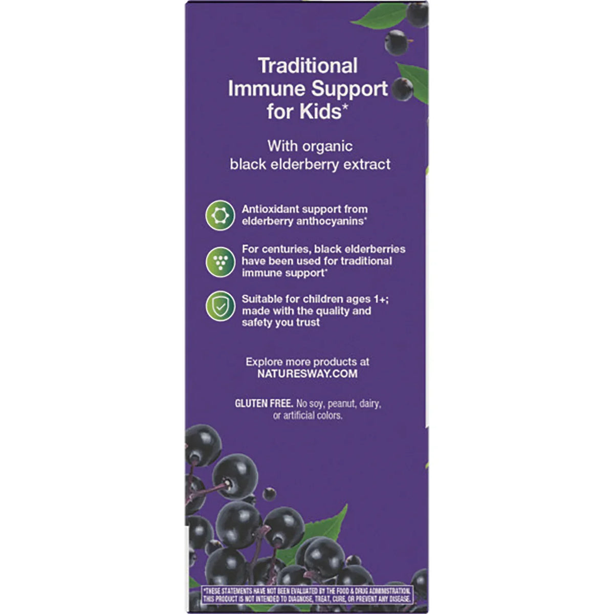 Kids Sambucus Traditional Immune Elderberry Syrup
