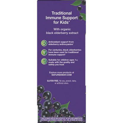 Kids Sambucus Traditional Immune Elderberry Syrup