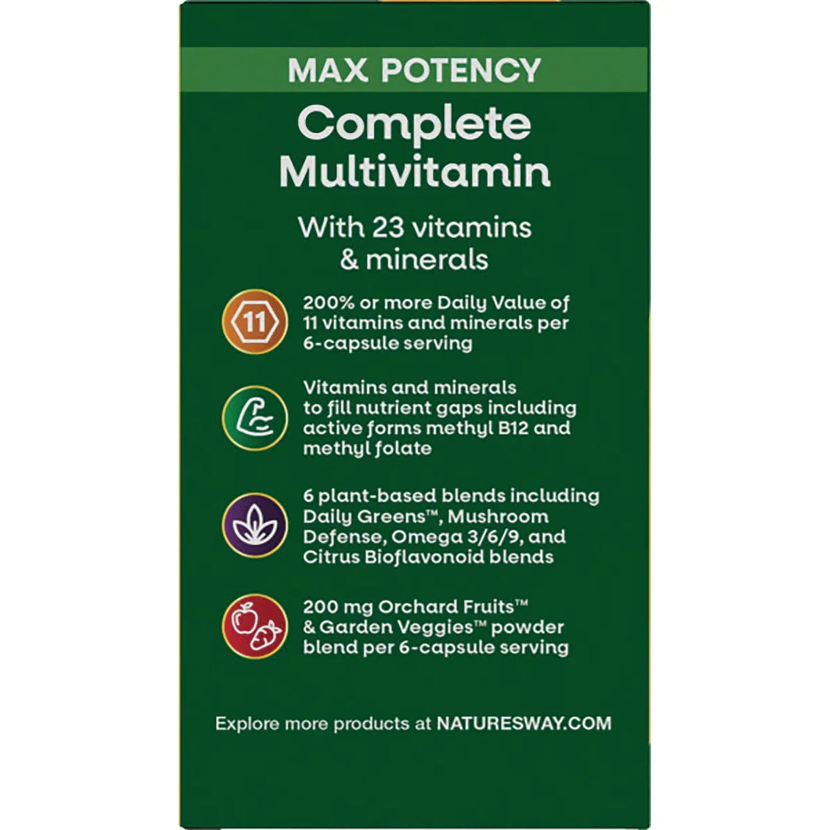 Alive! Max 6 Potency Adult Complete Multivitamin