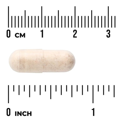 Milk Thistle Advanced Enhanced Absorption
