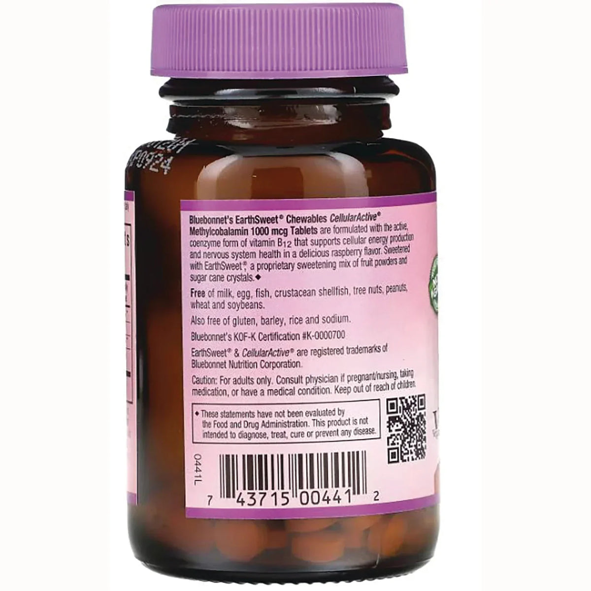 EarthSweet Chewables Methylcobalamin - Raspberry