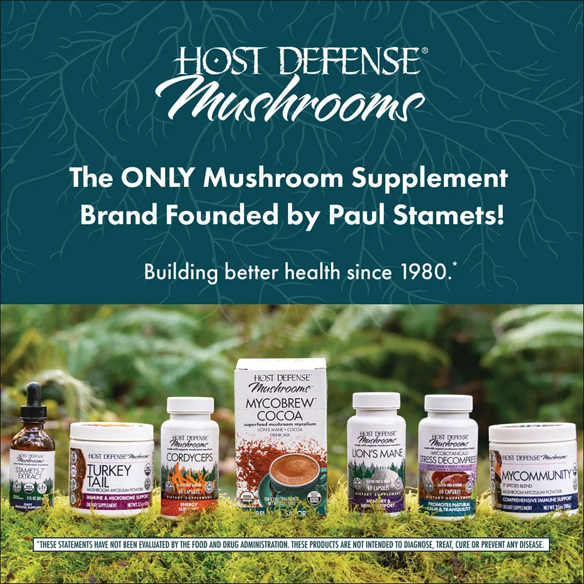 Chaga