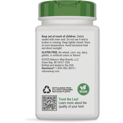 Dandelion Root