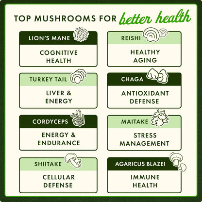 Mood Shrooms - 3-in-1 Formula